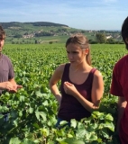 Cédric Klapisch finishes the first grape-harvests for Le vin et le vent - Production – France