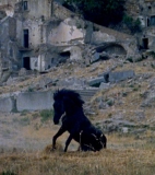 Montedoro: A town of ghosts - Films – Italy