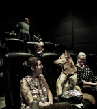Norway opens first dog cinema in Oslo - Exhibitors – Norway