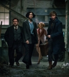 Fantastic Beasts and Where to Find Them: Let the adventure begin - Films – United Kingdom/USA