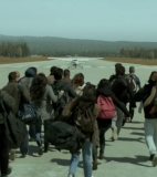 Lines: Seven people hit by the Greek crisis - Black Nights 2016 – Main Competition