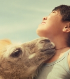 Celestial Camel wins the Olympia Film Festival - Festivals – Greece