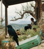 Dhogs: A woman somewhere between dog and pig - Films – Spain