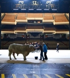 The Paris Opera becomes a metaphor for our society - Locarno 2017 – Panorama Suisse