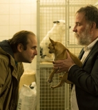 Dog wins big at the Namur Film Festival - Namur 2017