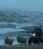 Rams to open the Zagreb Film Festival - Festivals – Croatia
