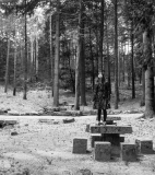 The Forest of the Lost Souls: Sadness will last forever - Films – Portugal